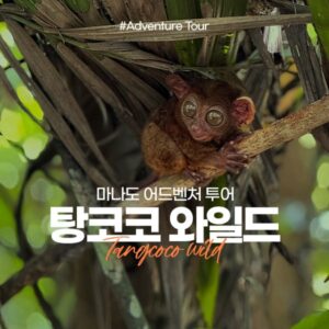 탕코코  와일드 정글 투어